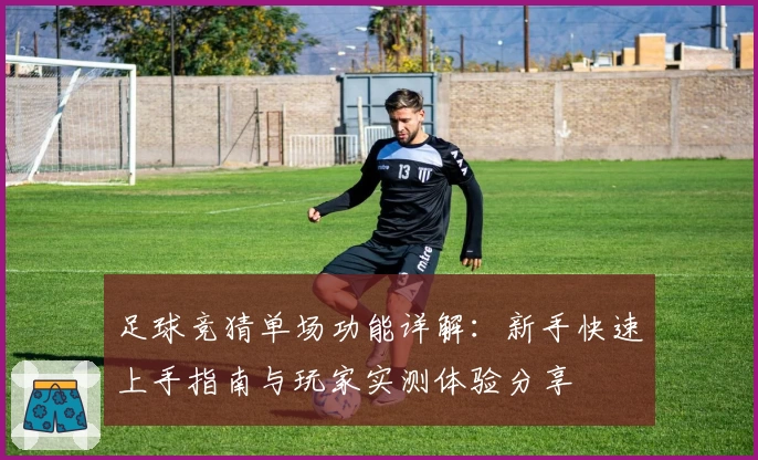 足球竞猜单场功能详解：新手快速上手指南与玩家实测体验分享