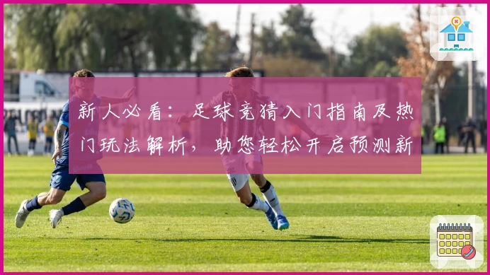 新人必看：足球竞猜入门指南及热门玩法解析，助您轻松开启预测新体验