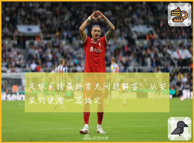 足球竞猜最新常见问题解答：从安装到使用一篇搞定
