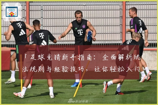 「足球竞猜新手指南：全面解析玩法规则与经验技巧，让你轻松入门」
